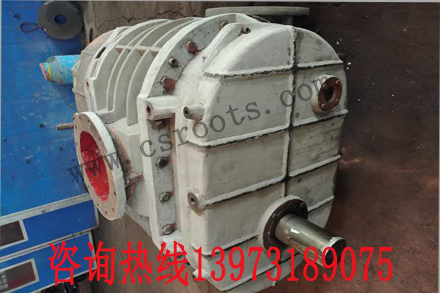 羅茨風(fēng)機廠(chǎng)