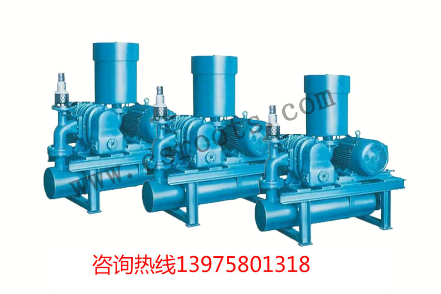 羅茨鼓風(fēng)機